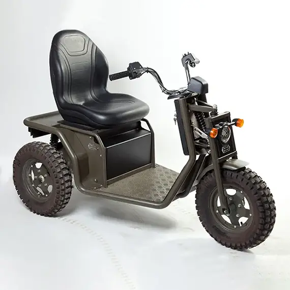 TWS Three Wheel Scooter